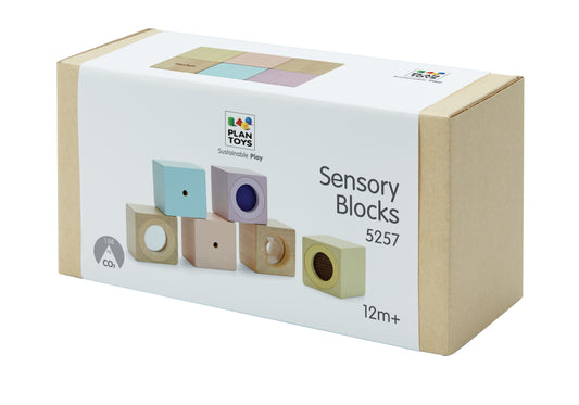 5257 SENSORY BLOCKS